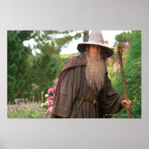 Poster GANDALF™ avec le casquette