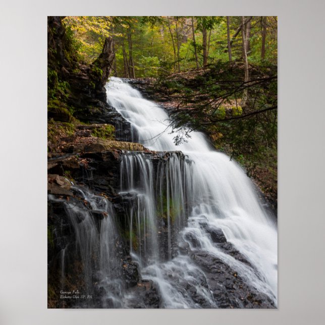 Poster Ganoga Falls 11"x14" (Devant)