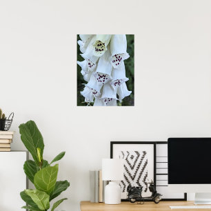 Poster Gant de Renard Blanc aux Taches Roses Floral
