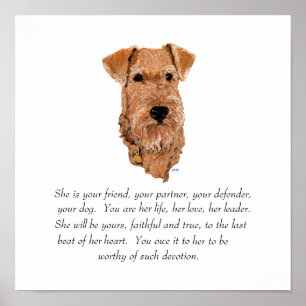 Poster Garde de Terrier Irlandais - Femelle