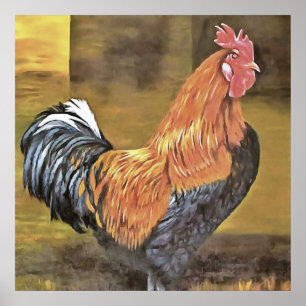 Poster Garder les poulets de l'agriculture de l'art coq
