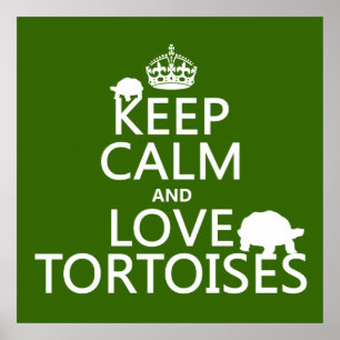 Poster Gardez le calme et aimez les tortues (toute