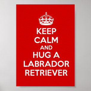 Poster Gardez le calme et étreignez labrador retriever