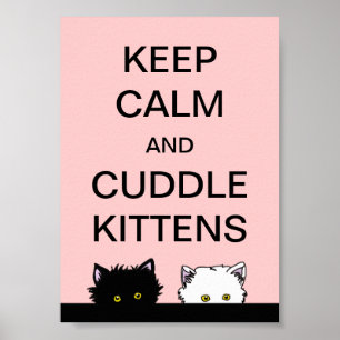 Poster Gardez les chatons calmes