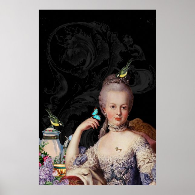 Poster Gardienne secrète Whimsical Marie Antoinette (Devant)