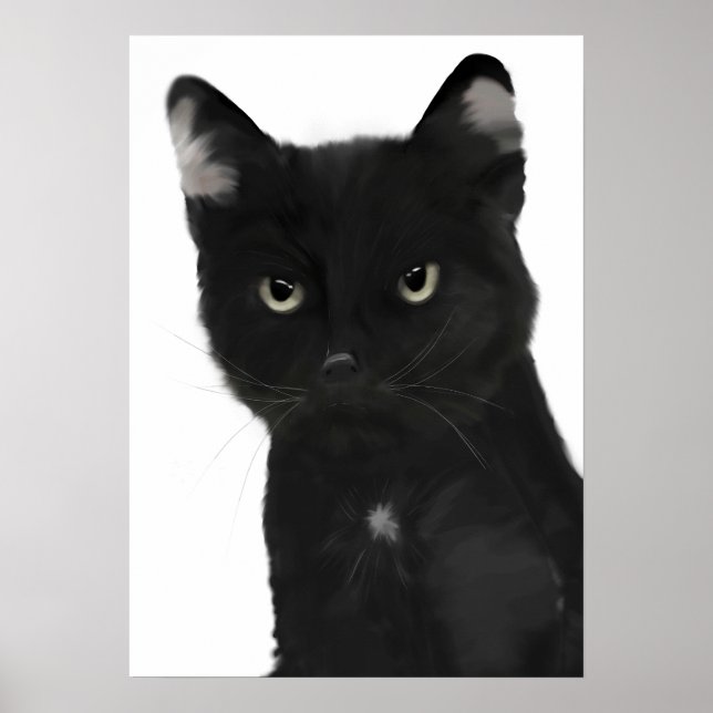 Poster Gary le chat noir (Devant)