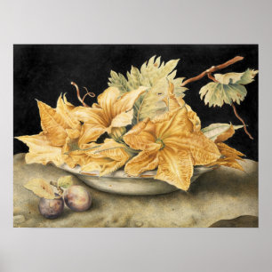 Poster Garzoni - Nature morte avec fleurs de citrouille e