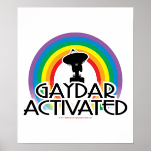 Poster Gaydar a activé