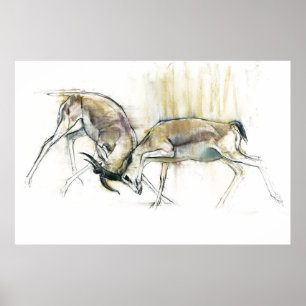 Poster Gazelles de sable 2009