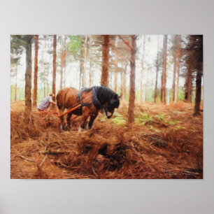 Poster Géant doux - Cheval à l'oeuvre dans la forêt