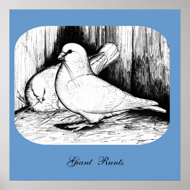 Poster Géant Runt Pigeons (Devant)