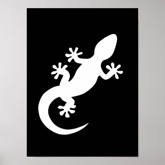 Poster gecko blanc (Devant)