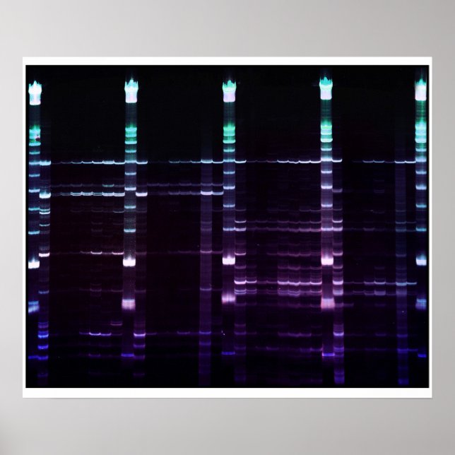 Poster Gel ACR - 2 (Devant)