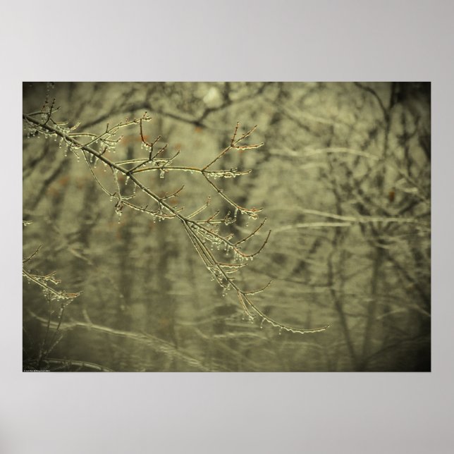 Poster Gel hivernal, (Devant)