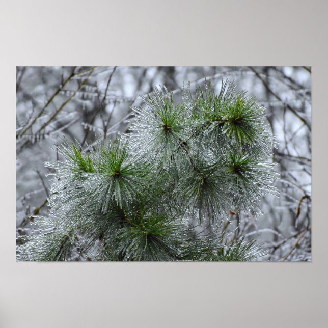 Poster Gel hivernal, (Devant)