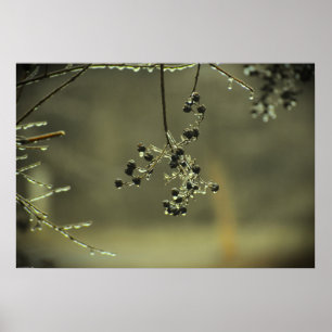 Poster Gel hivernal,