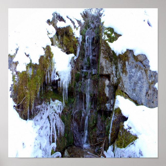 Poster Gelée dans le temps... (Devant)