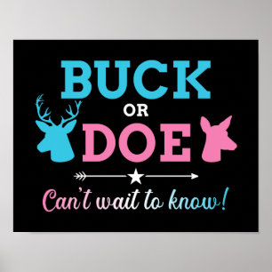 Poster Gender reveal buck doe can't wait know baby party