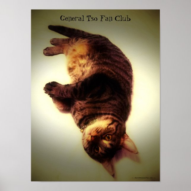 Poster - General Tso Fan Club (Devant)