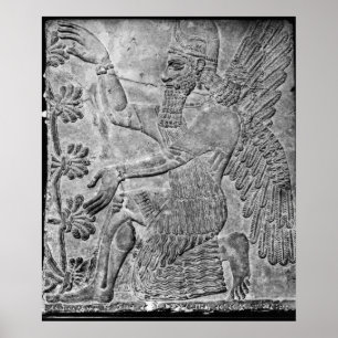 Poster Génie ailé vénérer l'arbre sacré