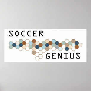 Poster Génie du football