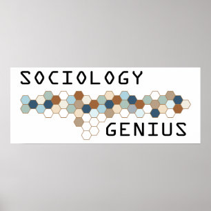 Poster Génie sociologique