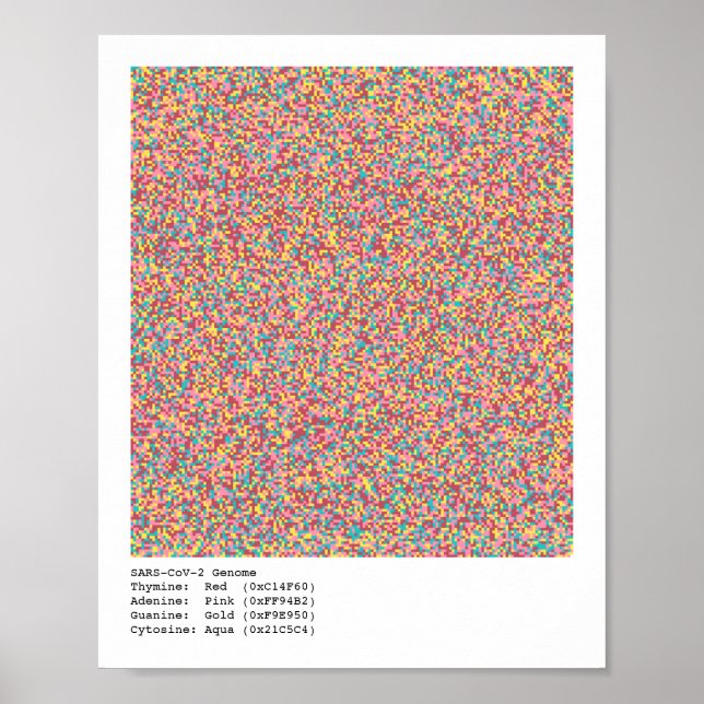 Poster Génome COVID-19 (Devant)