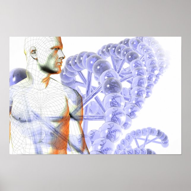 Poster Génome humain (Devant)