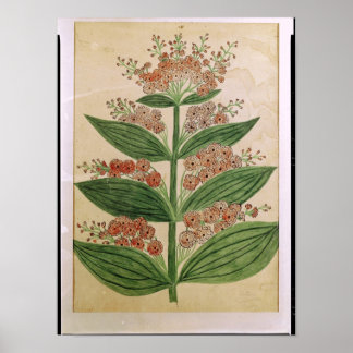 Poster Gentian avec fleurs imaginaires