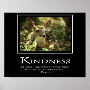 Poster Gentillesse
