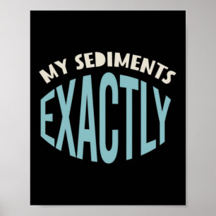 Poster Géologie Pun Mes Sédiments Exactement