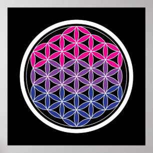 Poster géométrie biSacred