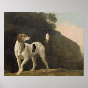 Poster George Stubbs A Foxhound, c.1760 (huile sur papi