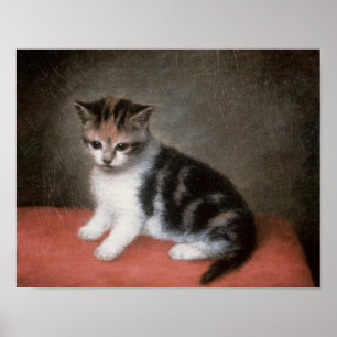 Poster George Stubbs   Miss Ann White's Kitten, 1790