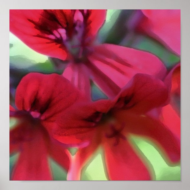 Poster Géranium peint (Devant)