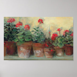 Poster Geraniums dans les pots
