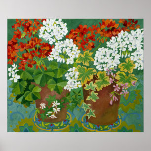 Poster Geraniums rouge et blanc en pots 2013