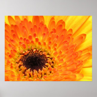 Poster Gerber jaune