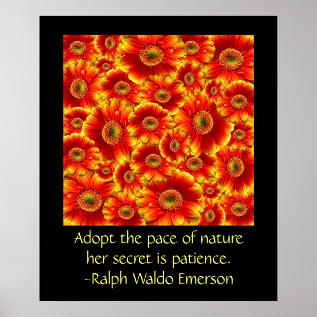 Poster Gerbera Daisies avec devis (Devant)