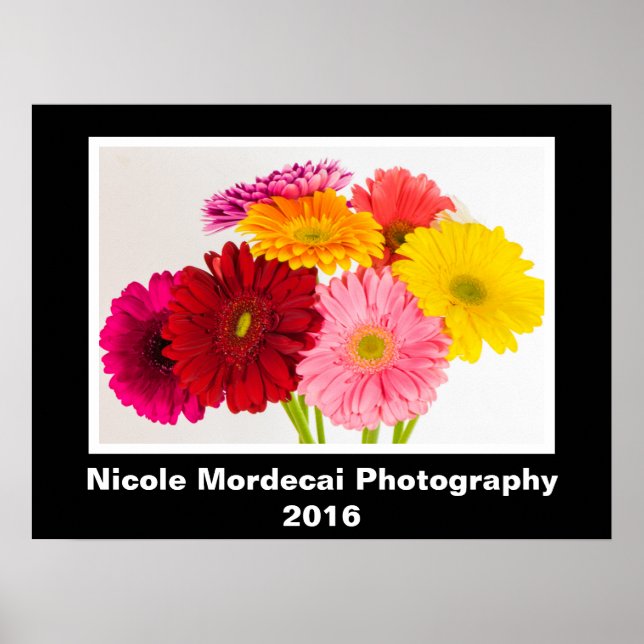 Poster Gerbera Daisy (Devant)