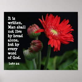 Poster Gerbera Daisy avec Verse des Écritures (Luc 4:4)