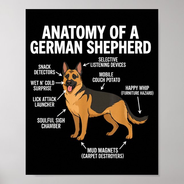 Poster German Shepherd  (Devant)