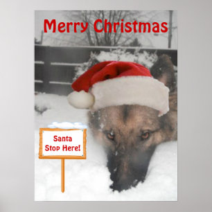 Poster German Shepherd Santa Stopp Hier Unterschre