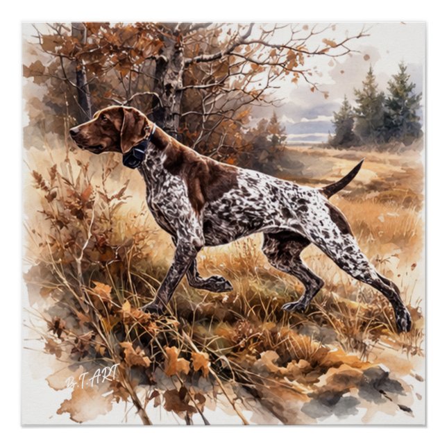 Poster  German Shorthaired Pointer  (Devant)