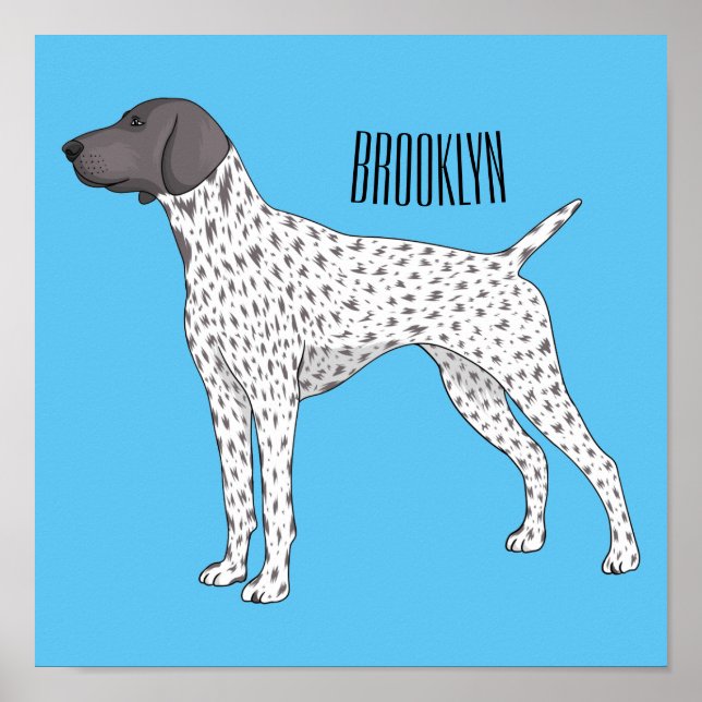 Poster German Shorthred Pointer dog (Devant)