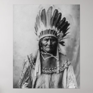 Poster 'Geronimo avec coiffure'