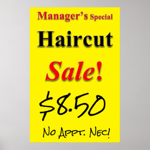 Poster Gestionnaires Special Haircut Vente Beauté Salon P