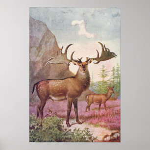 Poster Giant Irish Deer Prehistoric Animals Antique Print