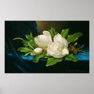 Poster Giant Magnolias sur Blue Velvet Cloth