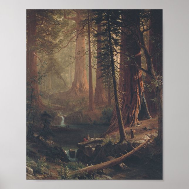 Poster Giant Redwoods par Albert Bierstadt (Devant)